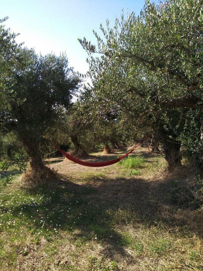 Villa Daphne, Messinia Near Koroni Kómboi Dış mekan fotoğraf